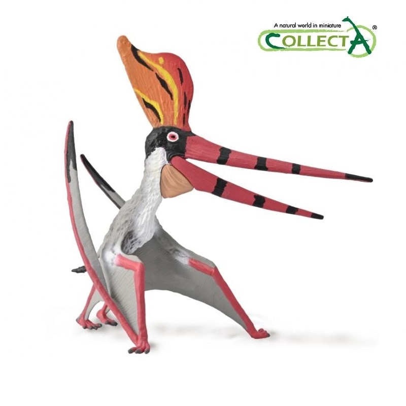 CollectA  Pteranodon Sternbergi ҳ ̴ ..